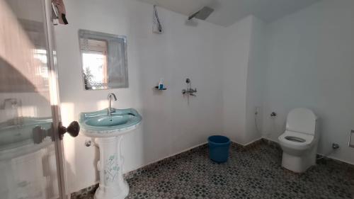 whatsapp_image_2026-01-29_at_1