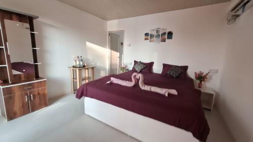 whatsapp_image_2026-01-29_at_1